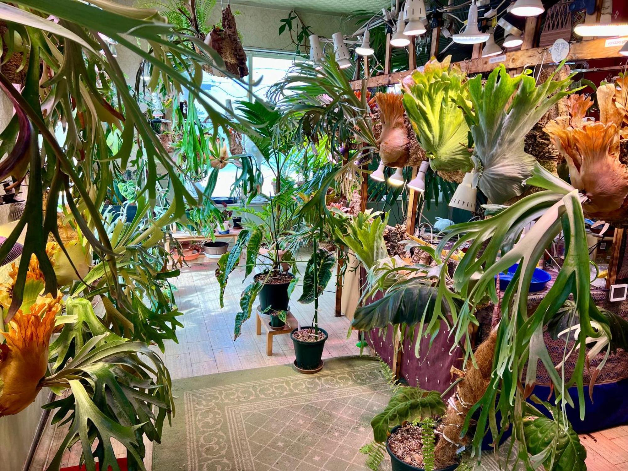 レンタルコテージサントロペ 京丹後市 エクステリア 写真