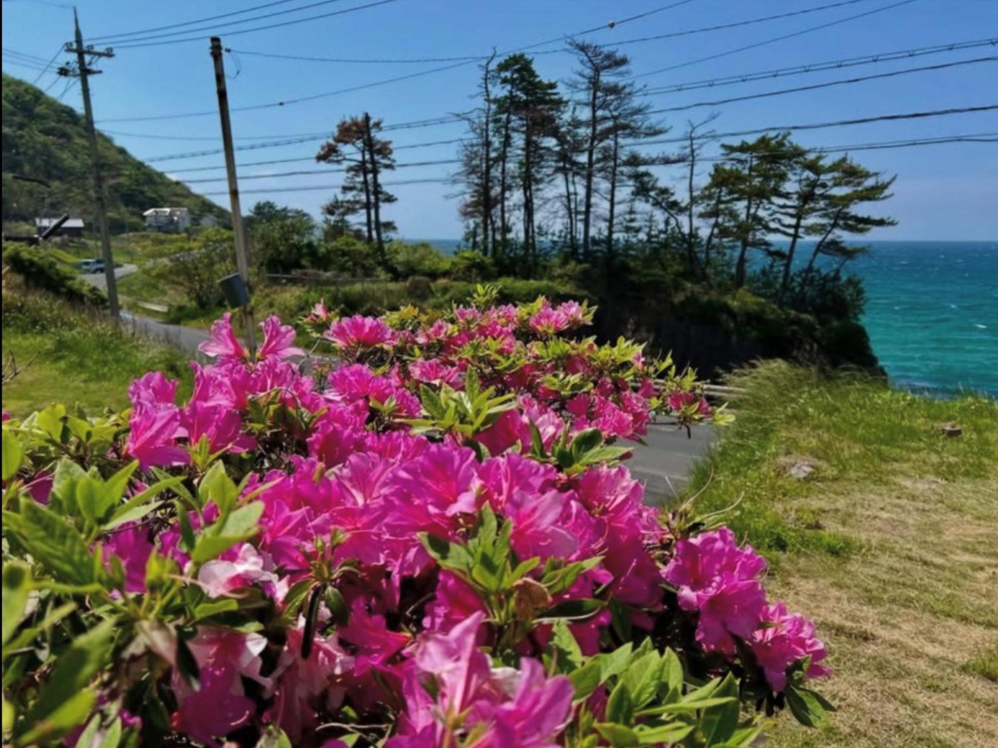レンタルコテージサントロペ 京丹後市 エクステリア 写真