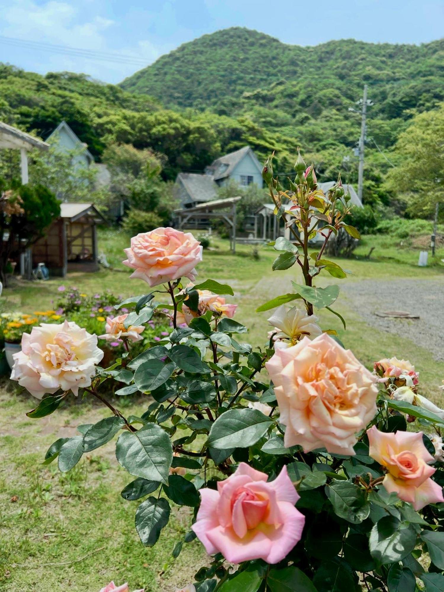 レンタルコテージサントロペ 京丹後市 エクステリア 写真