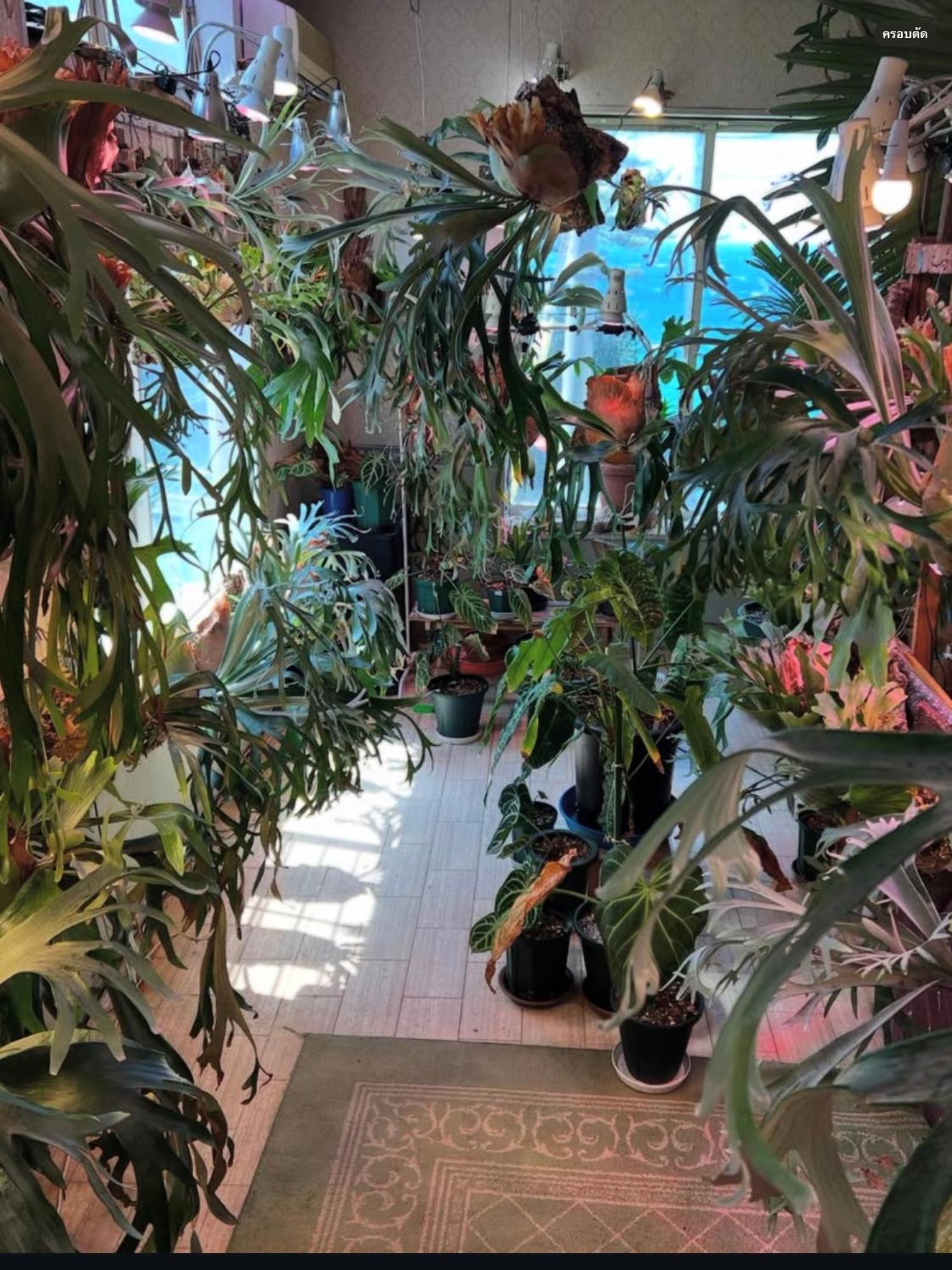 レンタルコテージサントロペ 京丹後市 エクステリア 写真